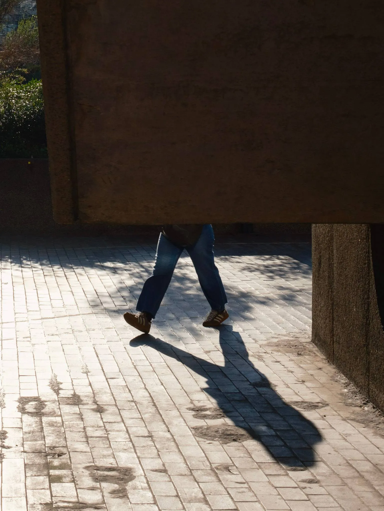 Image from portfolio album